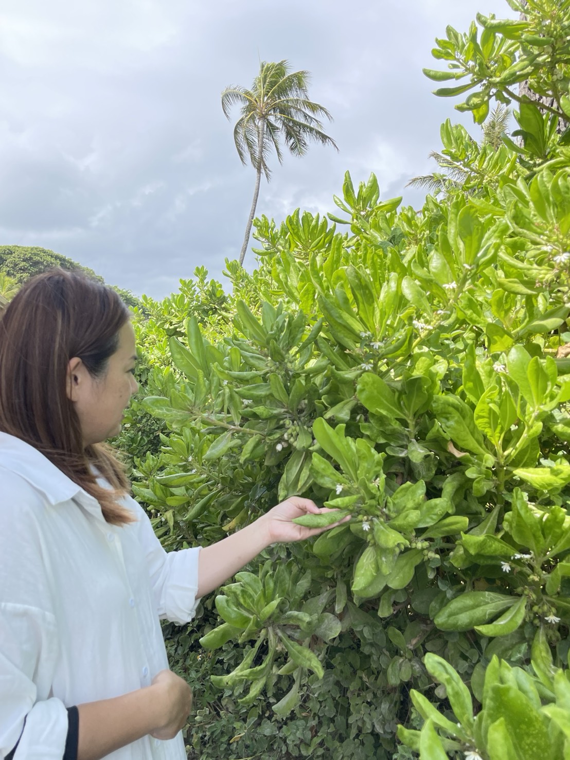 ハワイの植物にそっと触れる手元