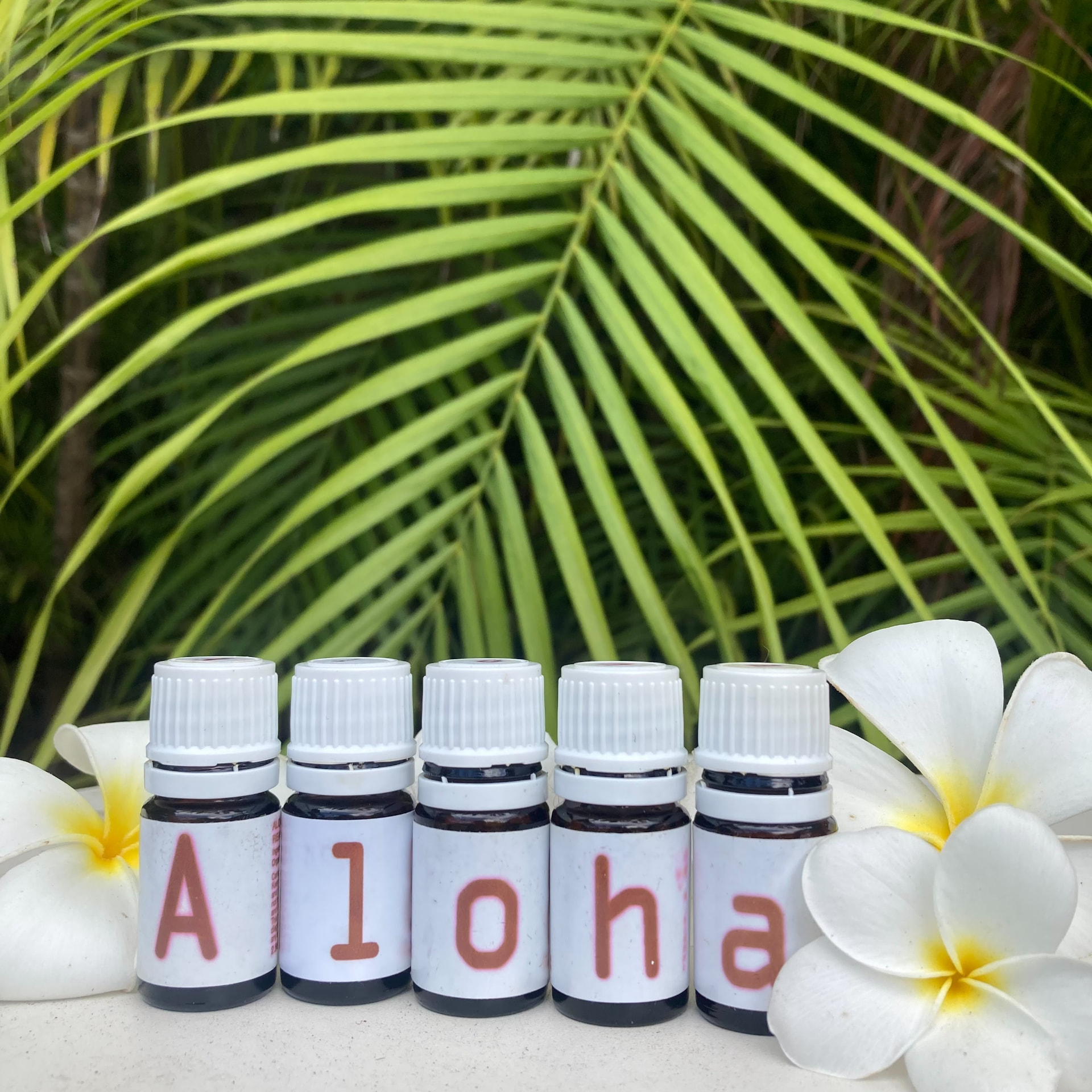 ハワイに自生する植物が詰まった5本のALOHAボトル