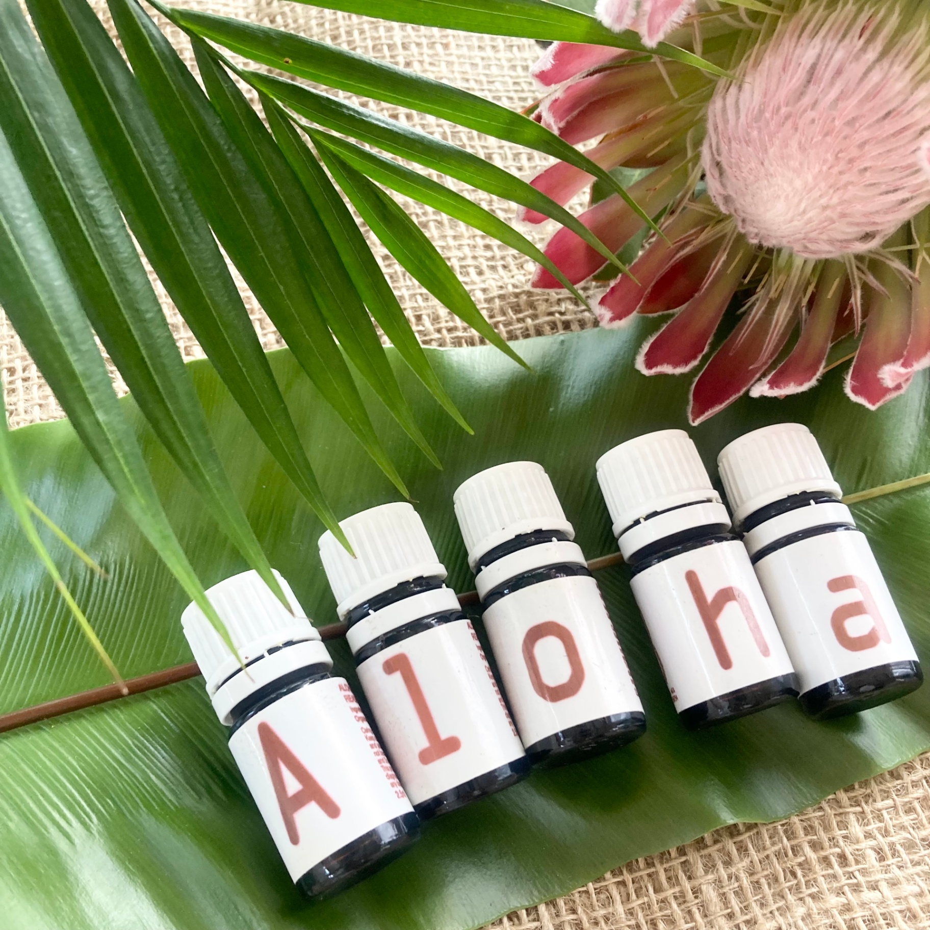 5本のALOHAボトルとハワイの植物